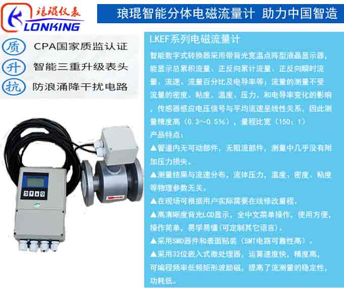電磁流量計參數說明分體.jpg